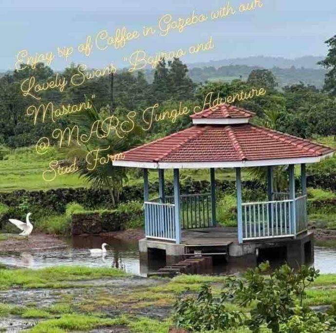 Mars Jungle Adventure Stud Farm With Private Jacuzzi Villa Narsinge Exterior photo